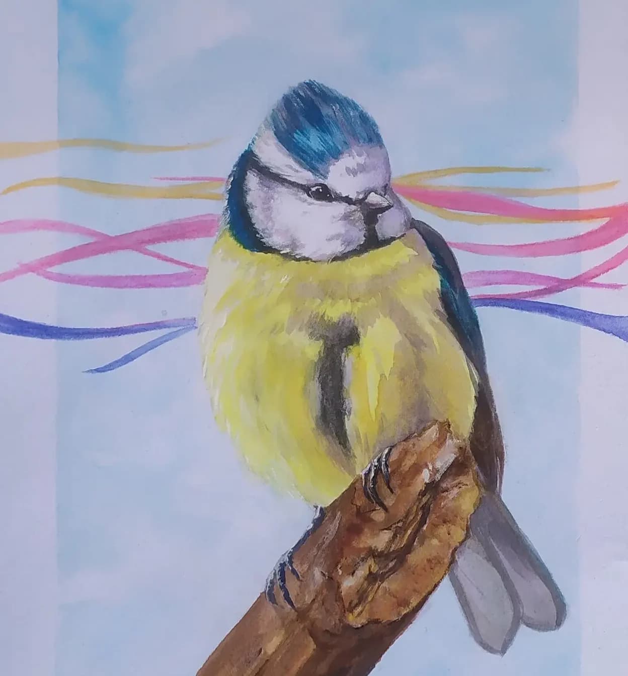 Blue tit