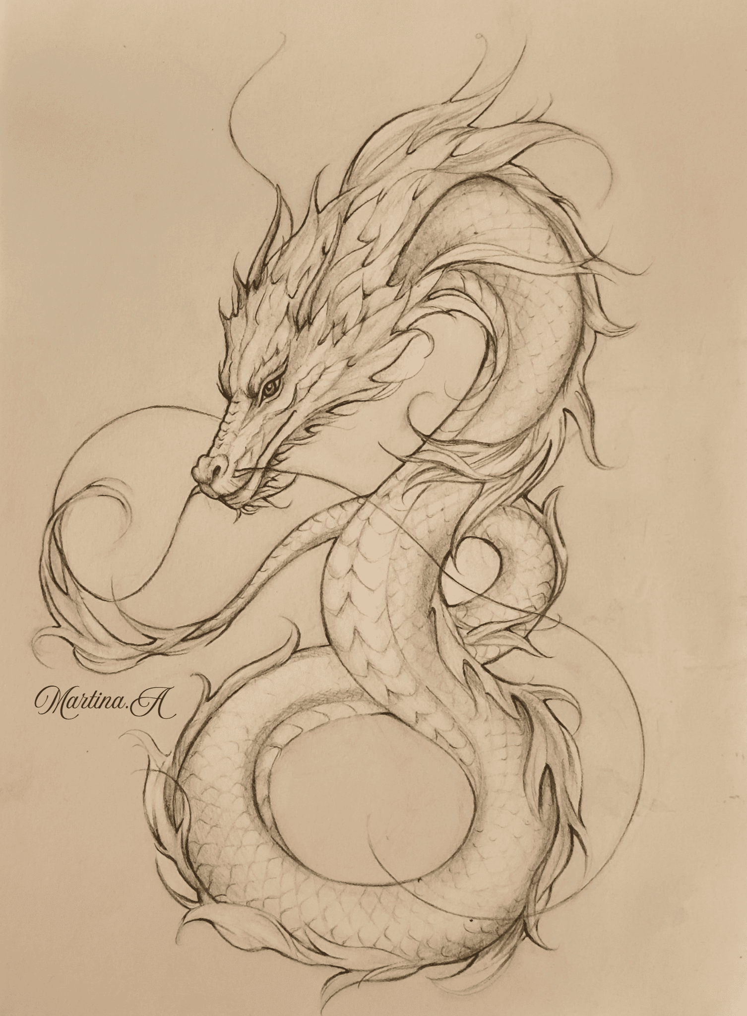 Dragon study